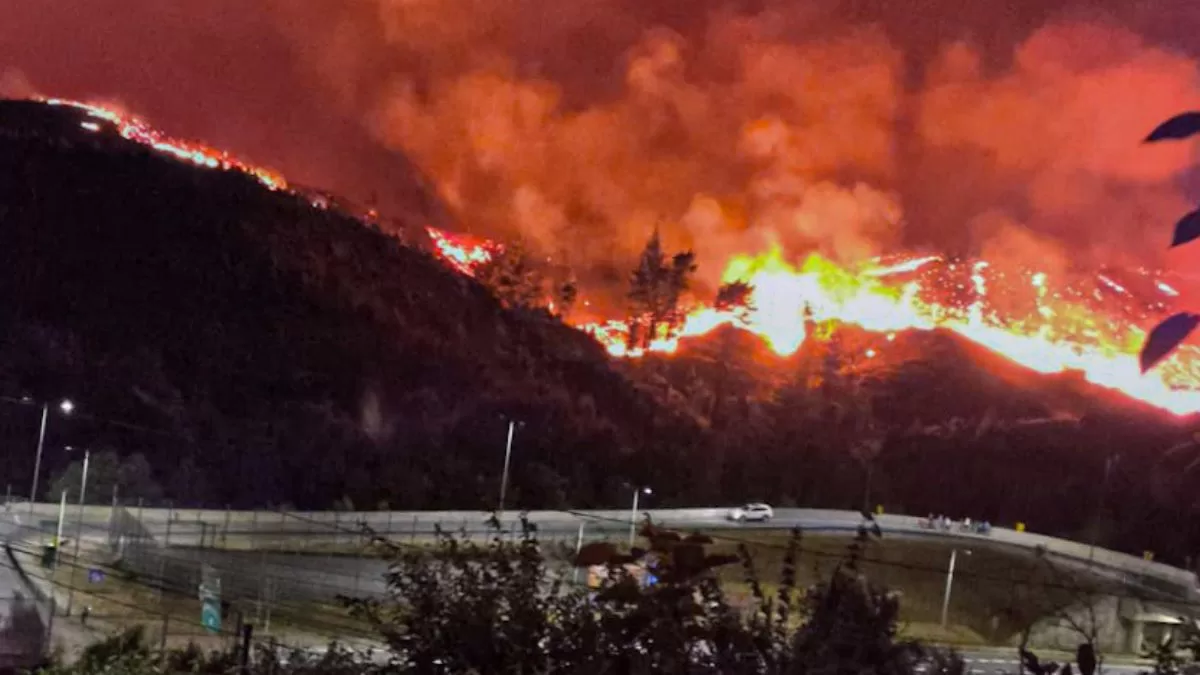 “Quiero aclarar que la donación es real”: Conocida escritora enfrenta duras críticas por fotografía falsa de ayuda a damnificados por incendios en Ñuble y Biobio