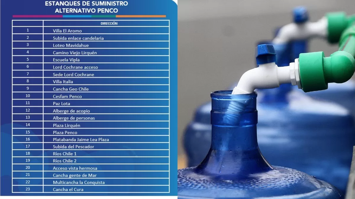 Incendios Forestales Penco (2)