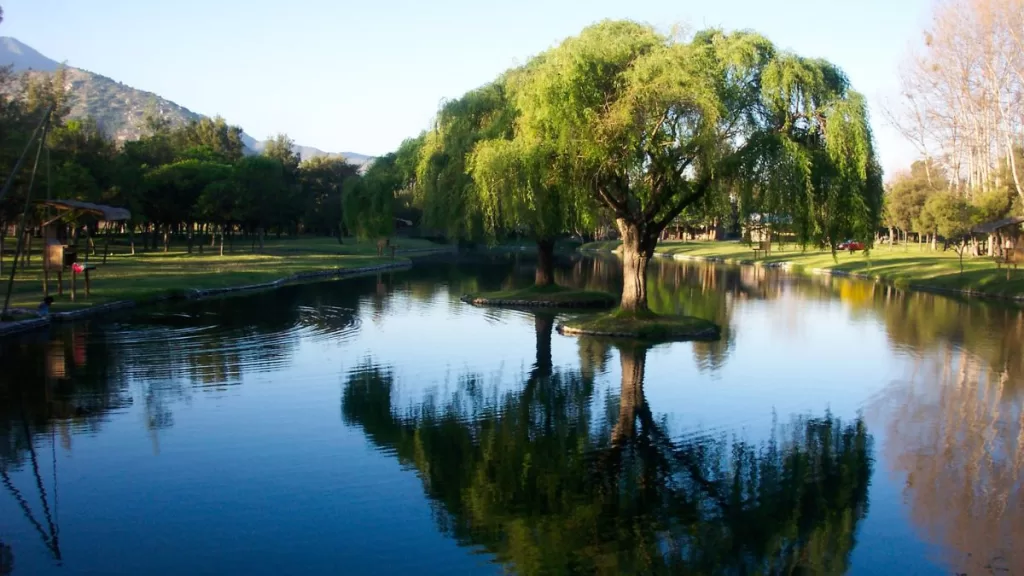 Manantiales De Panquehue