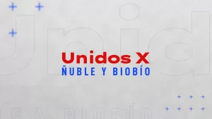 Será este domingo: Confirman a los animadores de "Unidos por Ñuble y Biobío"