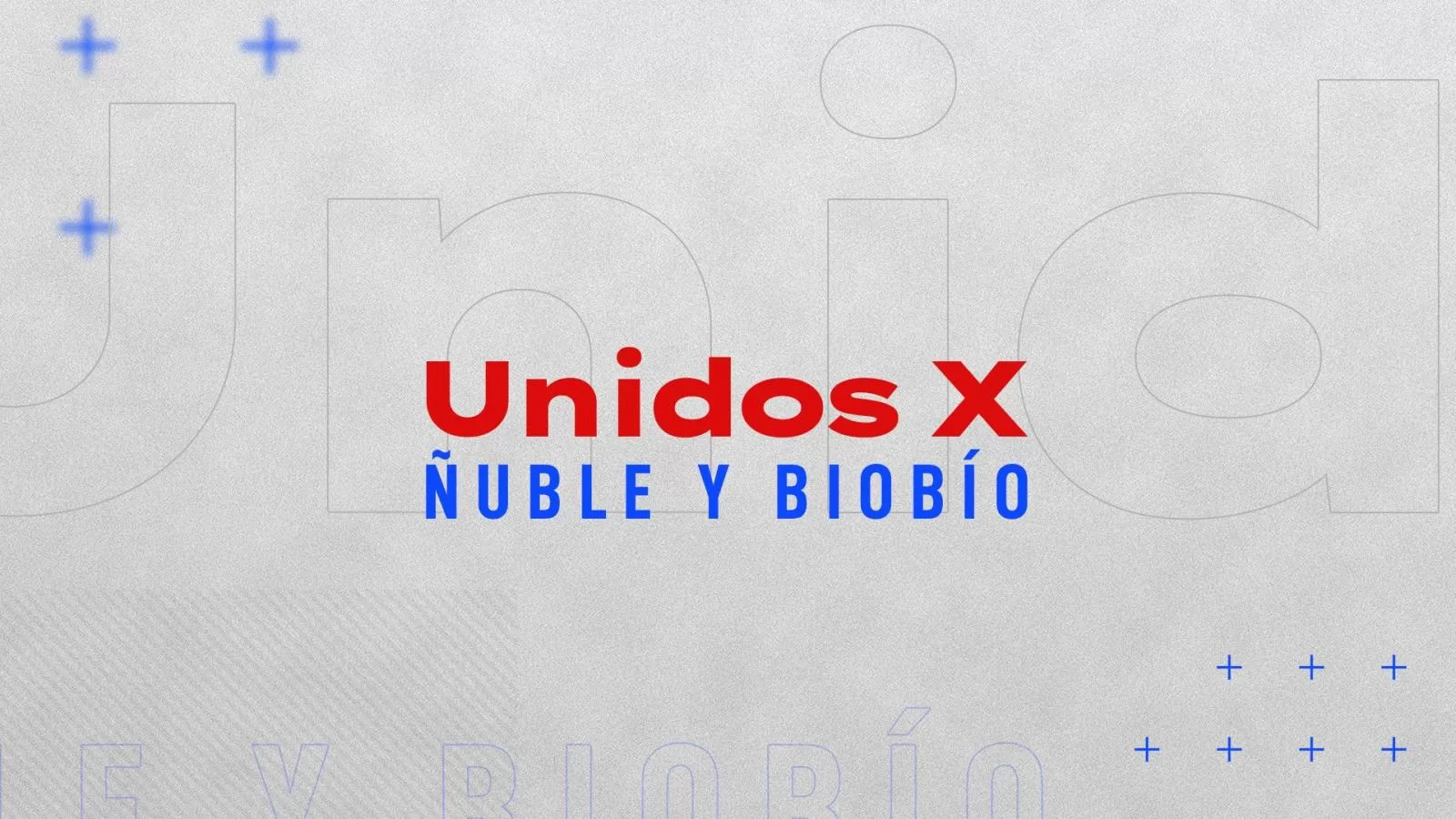 Será este domingo: Confirman a los animadores de "Unidos por Ñuble y Biobío"