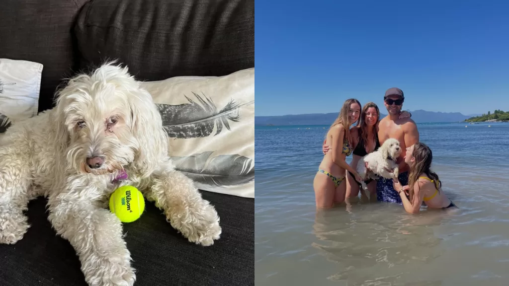 Animador Rodrigo Sepulveda Fallecimiento