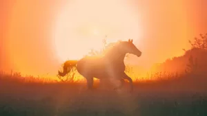 Caballo de Fuego 2026: predicciones, simbología y significado por cada animal del zodiaco