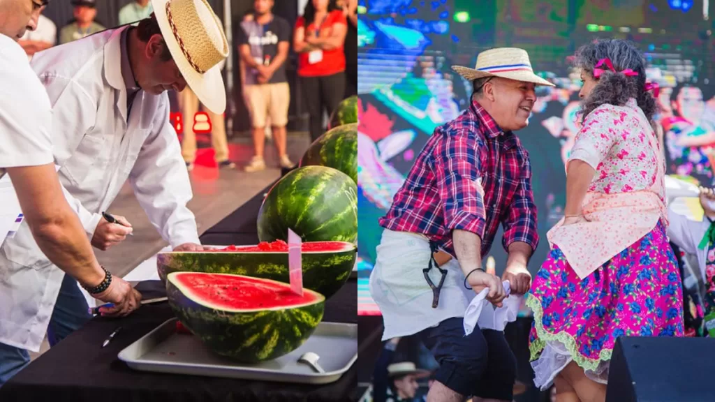 Expo Paine Rural (2)