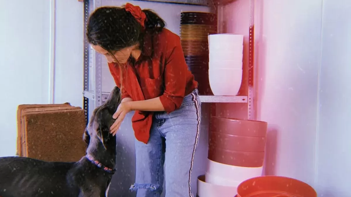 Querida actriz chilena emocionó tras anunciar el nacimiento de su bebé: así presentó a su hijo en las redes