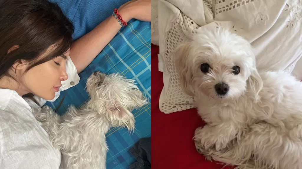 Fran Undurraga Perdida Ex Chica Reality