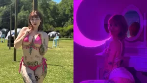 Gibielle Gamboa  Vardoc