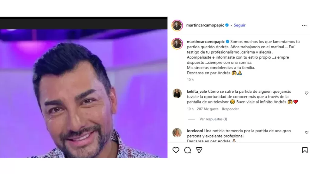 Martín Cárcamo Caniulef