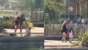 "Indignante" y "Qué terrible": Graban a mujer robándose a este pequeño animal del Mall Plaza Oeste y genera repudio en redes