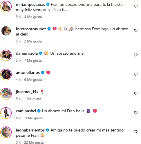 Perdida Fran Undurraga Muerte