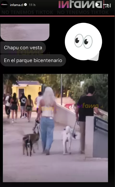 Vesta Lugg Chapu Puelles Nueva Apreja Rumores