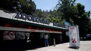 Zoológico Nacional ya tiene fecha de apertura: así puedes reservar tus tickets gratuitos