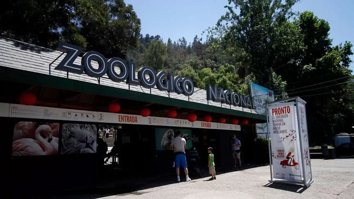 Zoológico Nacional ya tiene fecha de apertura: así puedes reservar tus tickets gratuitos