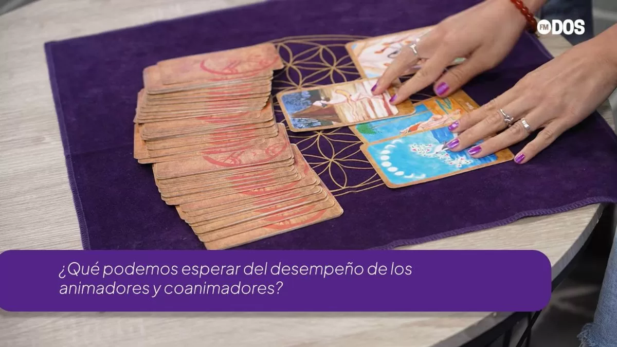 Festival De Viña 2026 (4)