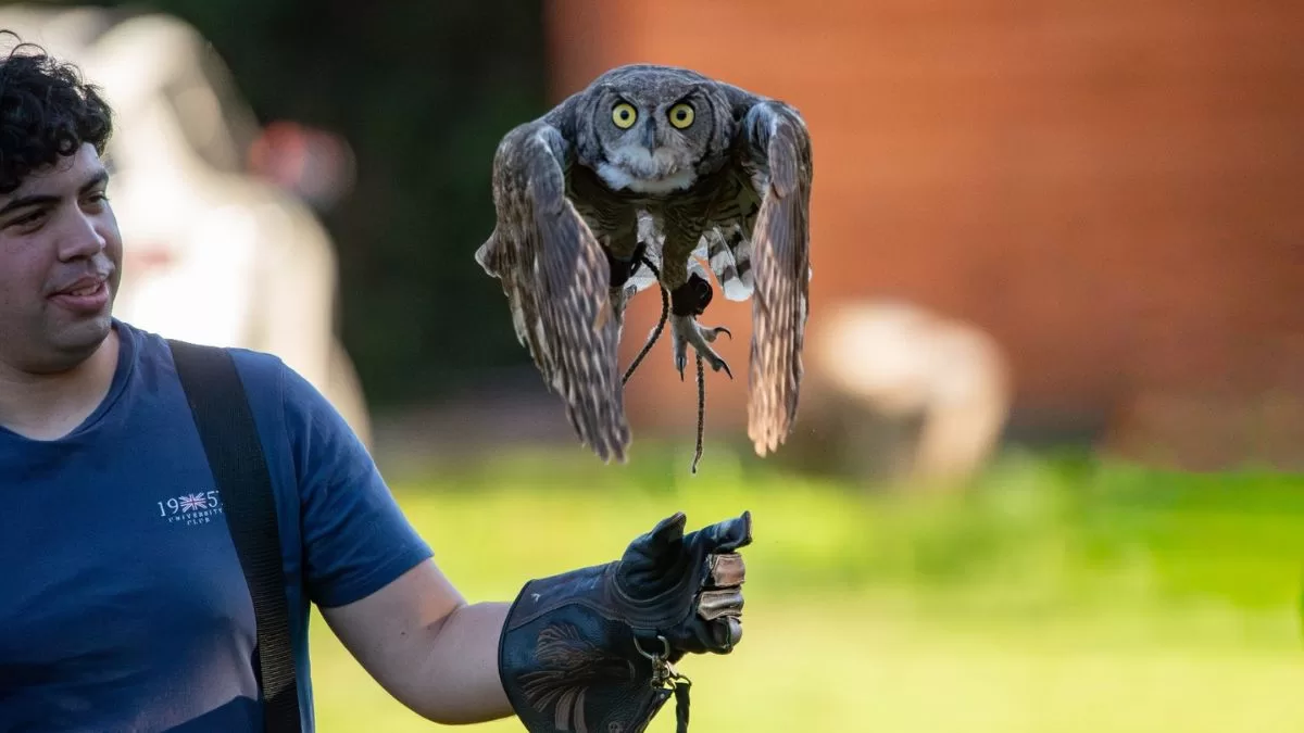 Saint Patrick Feerfest (2)