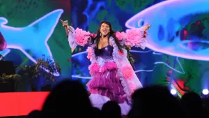 ¡Indignación total en redes! Así lució la Quinta Vergara durante el show de Bomba Estéreo en Viña 2026