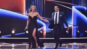 Festival De Viña 2026 (2)