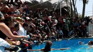 Festival De Viña 2026 Como Votar Para Reyes