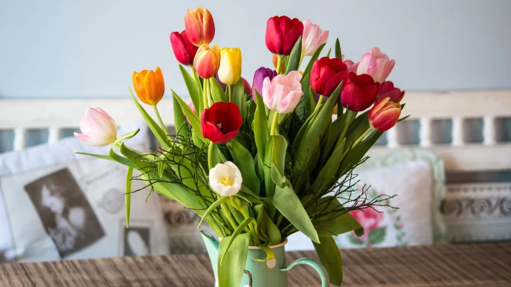 Flores 14 De Febrero