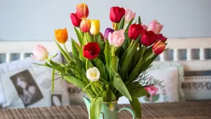 ¿Cansada de las rosas? Las mejores flores para regalar este 14 de febrero y que nadie espera (con sus significados)