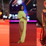 Cuánto costó el vestido mas criticado de la Gala de Viña 2026: "Tengo uno parecido y me salió 9 mil"