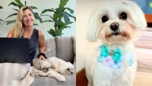 El desgarrador mensaje de Macarena Tondreau para su mascota fallecida en una encerrona: “Te prometo que…”