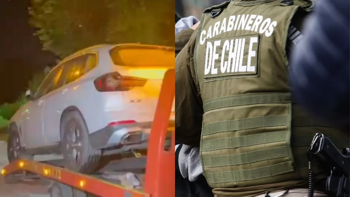 Querida animadora de la televisión chilena sufre violenta encerrona con su hija en Vitacura: una de sus mascotas falleció