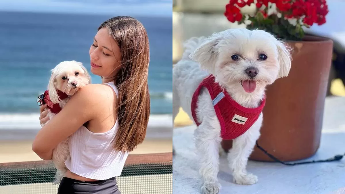 Hija de Macarena Tondreau dedica desgarrador mensaje a su perrita fallecida en encerrona: "Ya me haces mucha falta"