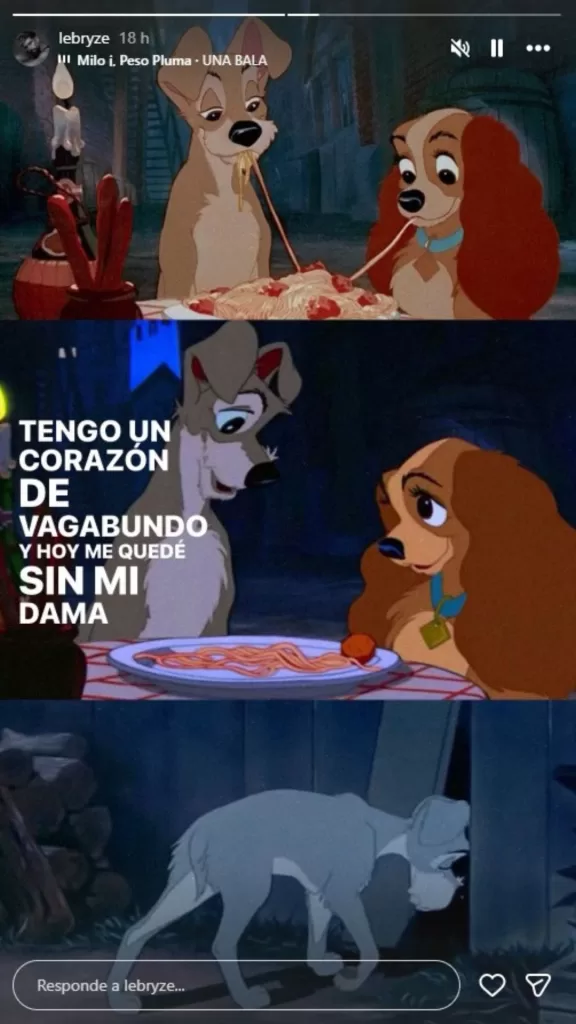 Diego Bazaes   Skarleth Labra