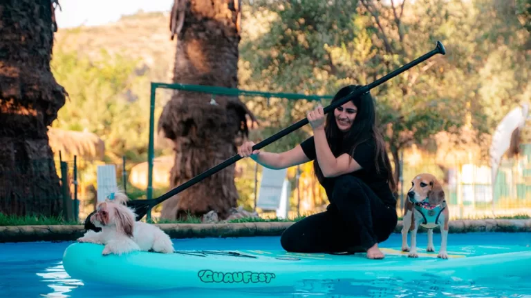 GuauFest 2026: Fecha, precios y actividades del parque de diversiones para perros en el Parque Padre Hurtado