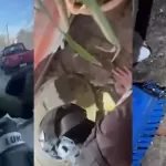 Conocido cantante urbano fue detenido por presunto tráfico de drogas en Pudahuel