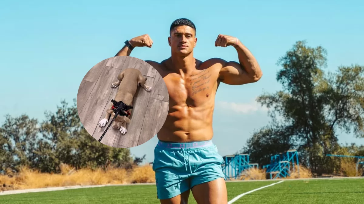 Sammis Reyes se disculpa tras ola de críticas por maltrato animal: "Estoy aprendiendo al igual que ella"