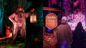 Harry Potter llega a Chile con la experiencia del Bosque Prohibido: entradas y todos los detalles del imperdible panorama en Quinta Normal