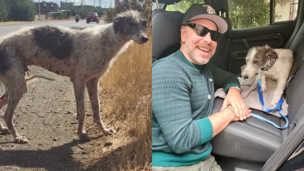 José Antonio Neme (1)