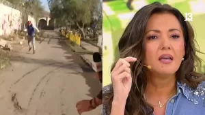 Canal 13 (2)