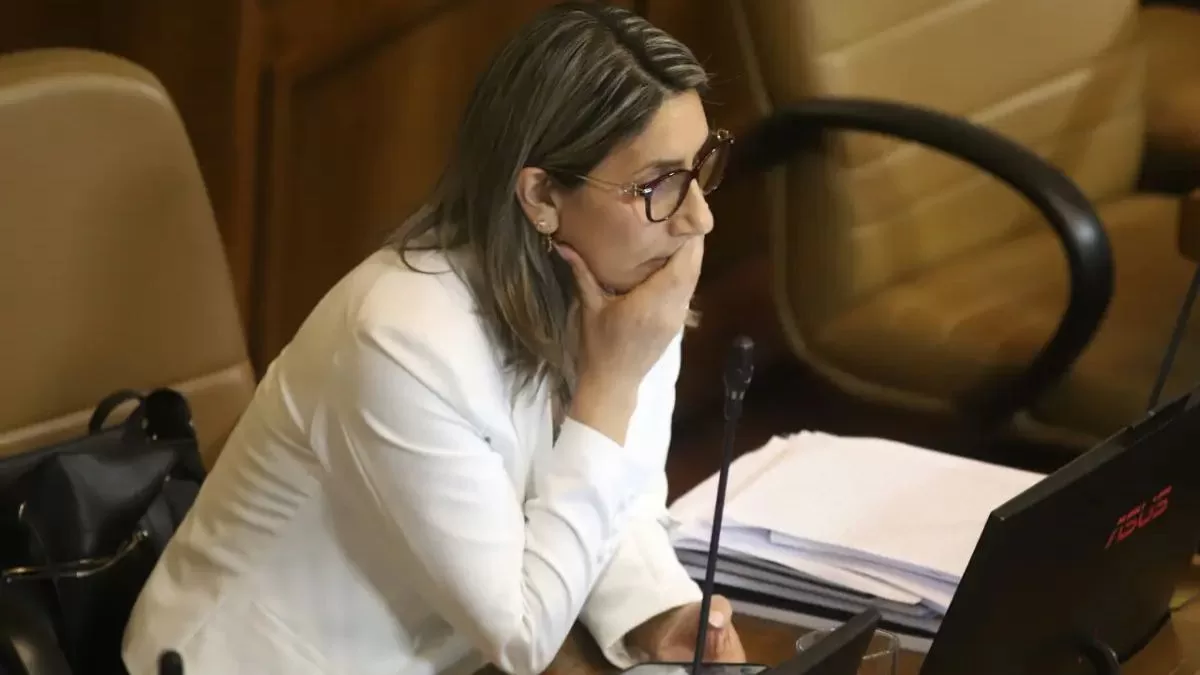 "Vendí sopaipillas, empanadas y hasta bolsas de basura, así que no me asusta partir de cero otra vez. He sabido lo que es ganarse la vida"