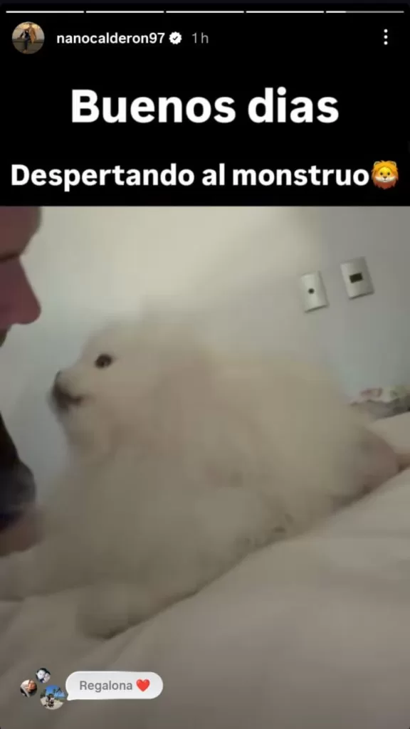 Nano Calderón