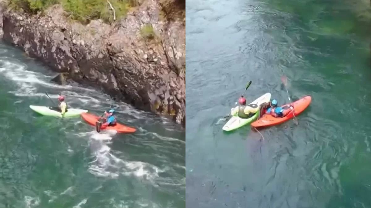 Pangal Andrade protagoniza impactante rescate en el sur de Chile y salva una vida: "Estaba literalmente muriendo"