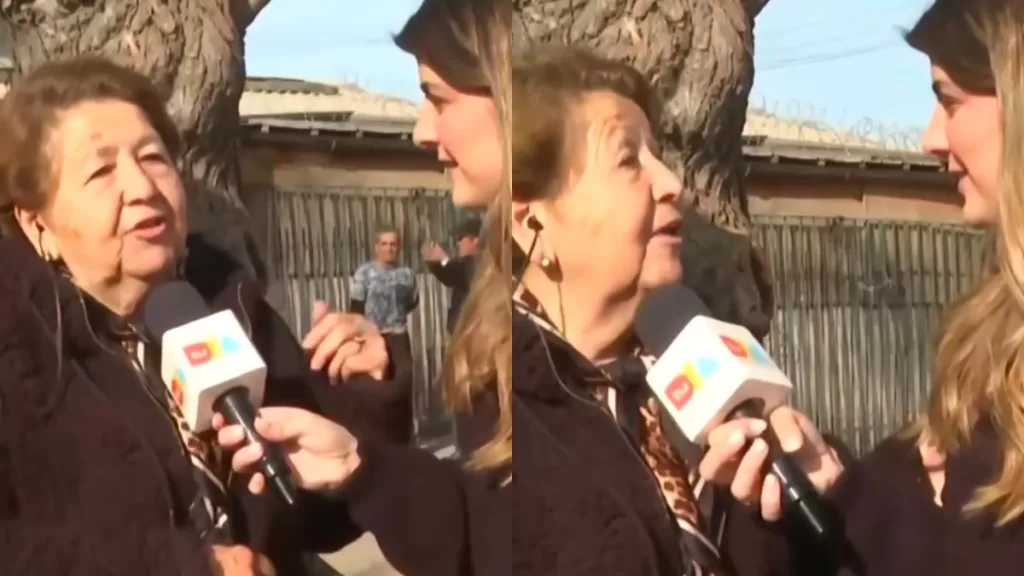 Tu Día