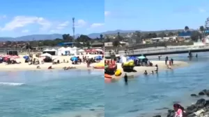 El alarmante antes y después de popular playa chilena en Tongoy tras el temporal: "Es para que nos preocupemos"