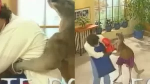 RAFAEL ARANEDA (2)