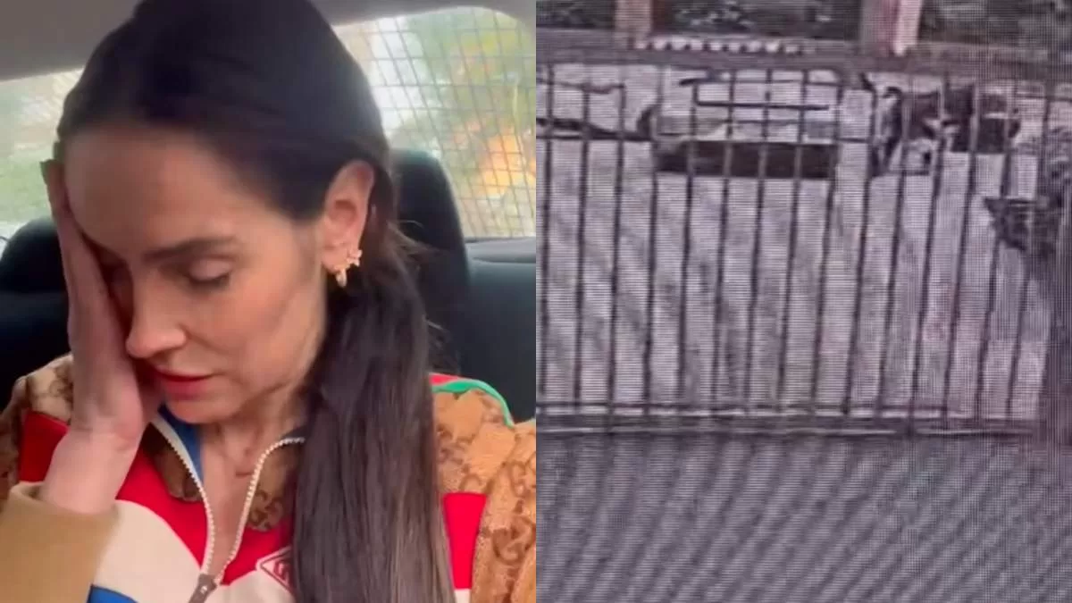 Adriana Barrientos es víctima de portonazo: la golpearon y le robaron su auto