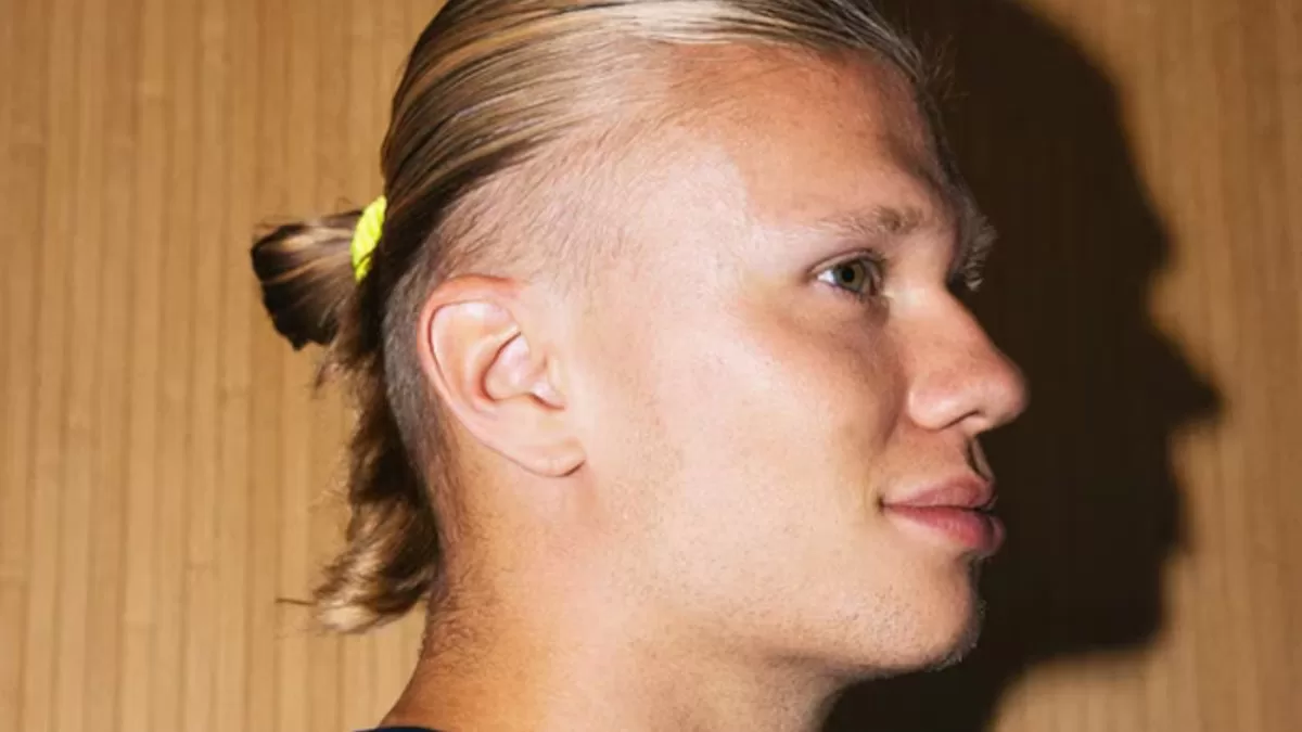 Haaland (2)