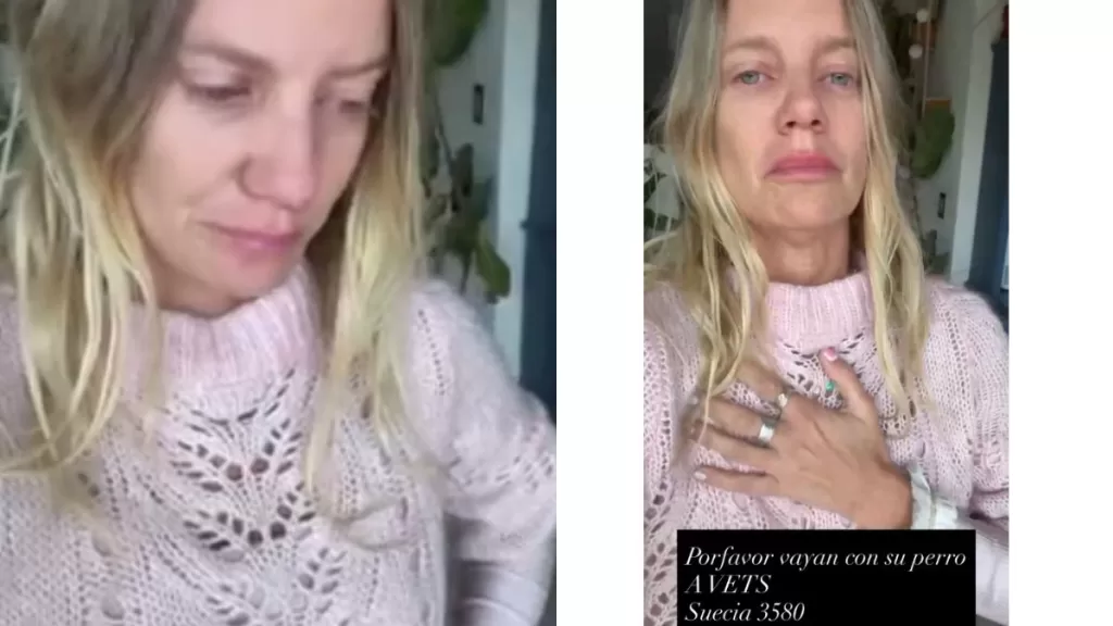 Javiera Acevedo 3