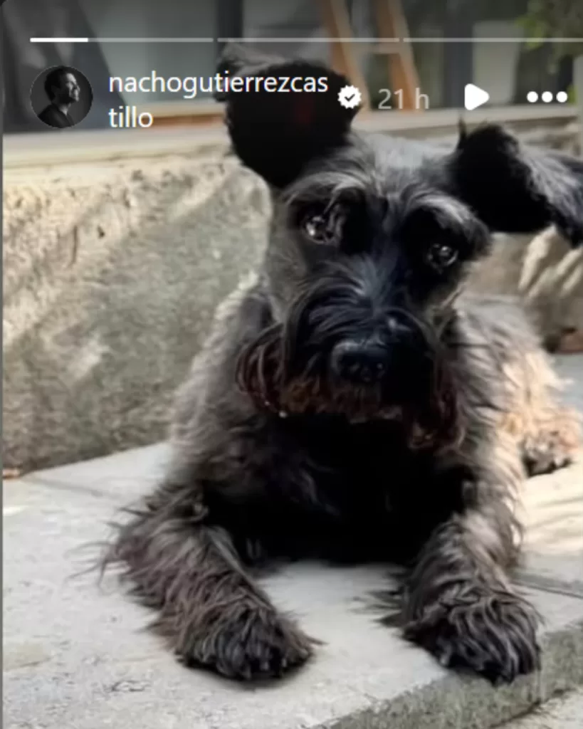 Nacho Gutiérrez