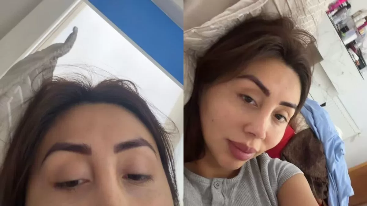 Naya Fácil (2)
