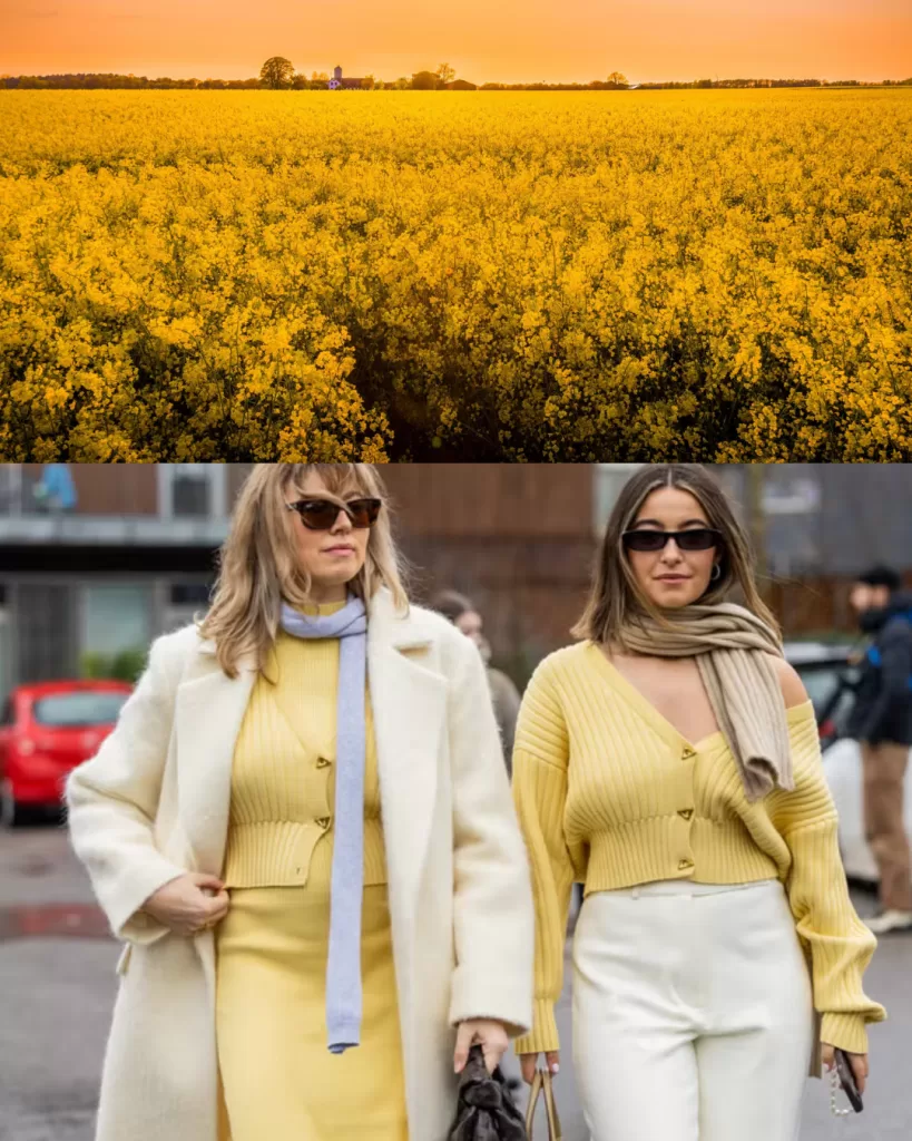 Outfit Amarillo (1)