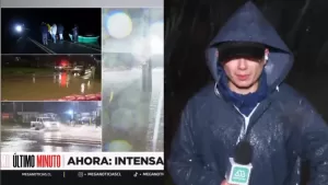PERIODISTA (3)