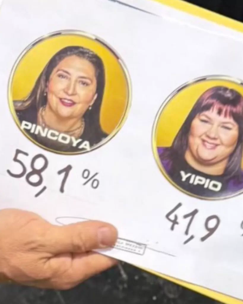 Pincoya (1)