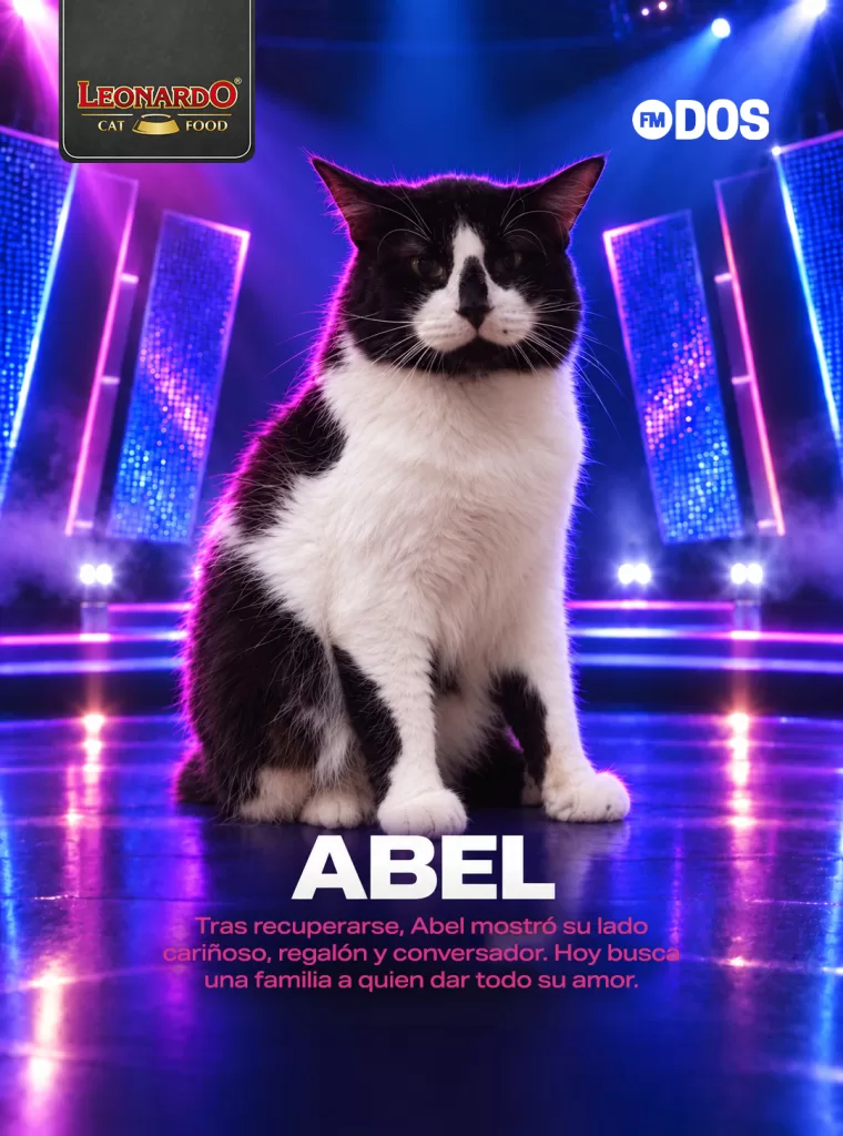 Abel